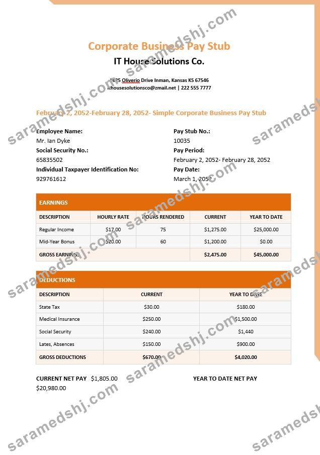 IT house solutions Co. pay stub in PDf and Word formats